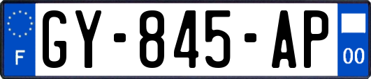 GY-845-AP