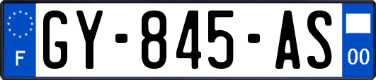 GY-845-AS