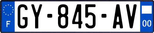 GY-845-AV