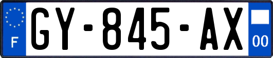 GY-845-AX
