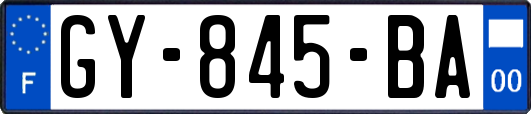 GY-845-BA