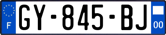 GY-845-BJ