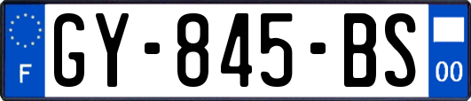 GY-845-BS