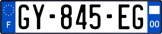 GY-845-EG