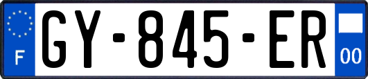 GY-845-ER
