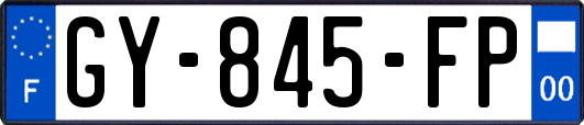 GY-845-FP
