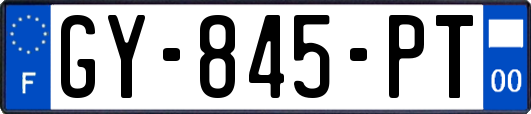 GY-845-PT