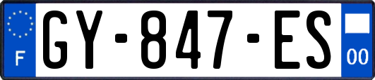 GY-847-ES