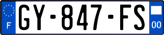 GY-847-FS