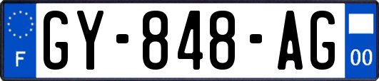 GY-848-AG