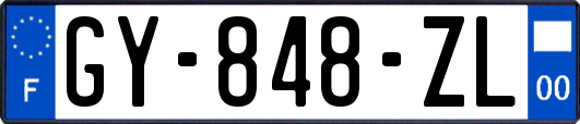 GY-848-ZL