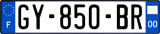GY-850-BR