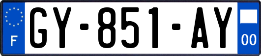 GY-851-AY