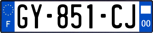 GY-851-CJ