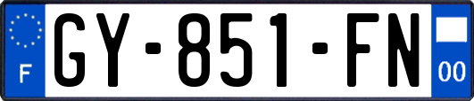 GY-851-FN