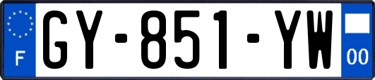 GY-851-YW