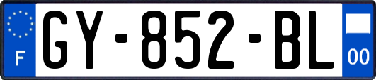 GY-852-BL