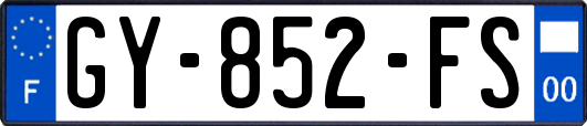 GY-852-FS