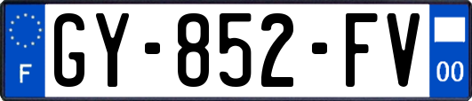GY-852-FV