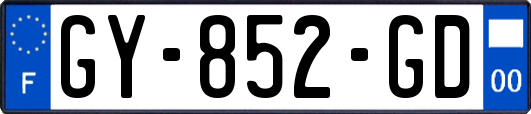 GY-852-GD
