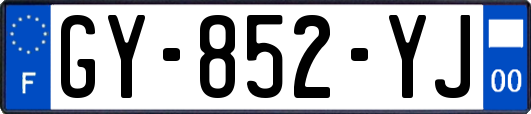 GY-852-YJ