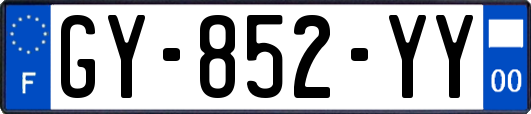 GY-852-YY