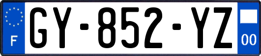 GY-852-YZ