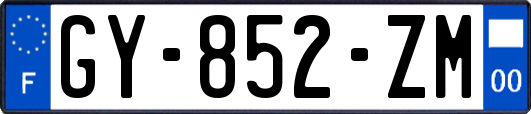 GY-852-ZM