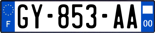 GY-853-AA