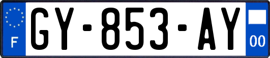 GY-853-AY
