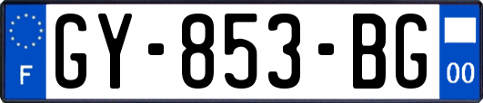 GY-853-BG