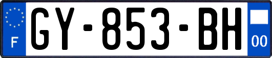 GY-853-BH