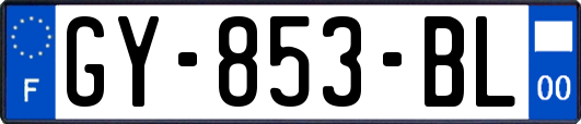 GY-853-BL