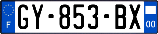 GY-853-BX