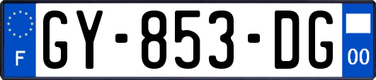 GY-853-DG