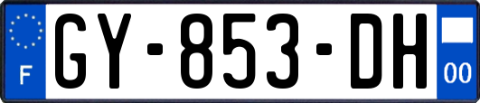 GY-853-DH