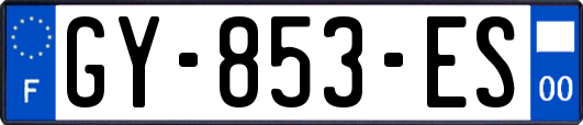 GY-853-ES