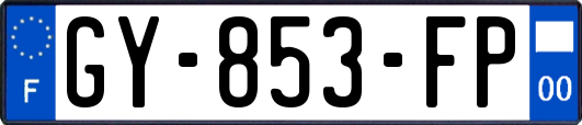 GY-853-FP