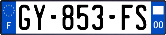 GY-853-FS
