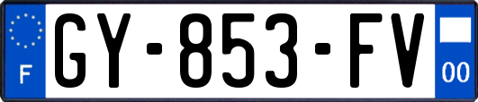 GY-853-FV