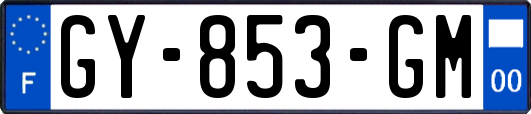 GY-853-GM