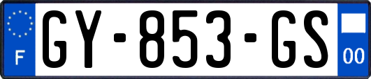 GY-853-GS