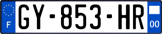 GY-853-HR