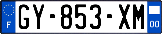 GY-853-XM