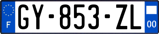 GY-853-ZL