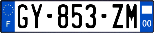 GY-853-ZM