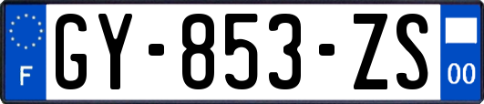 GY-853-ZS