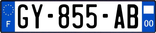GY-855-AB