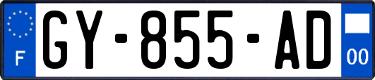 GY-855-AD