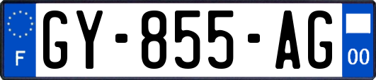 GY-855-AG